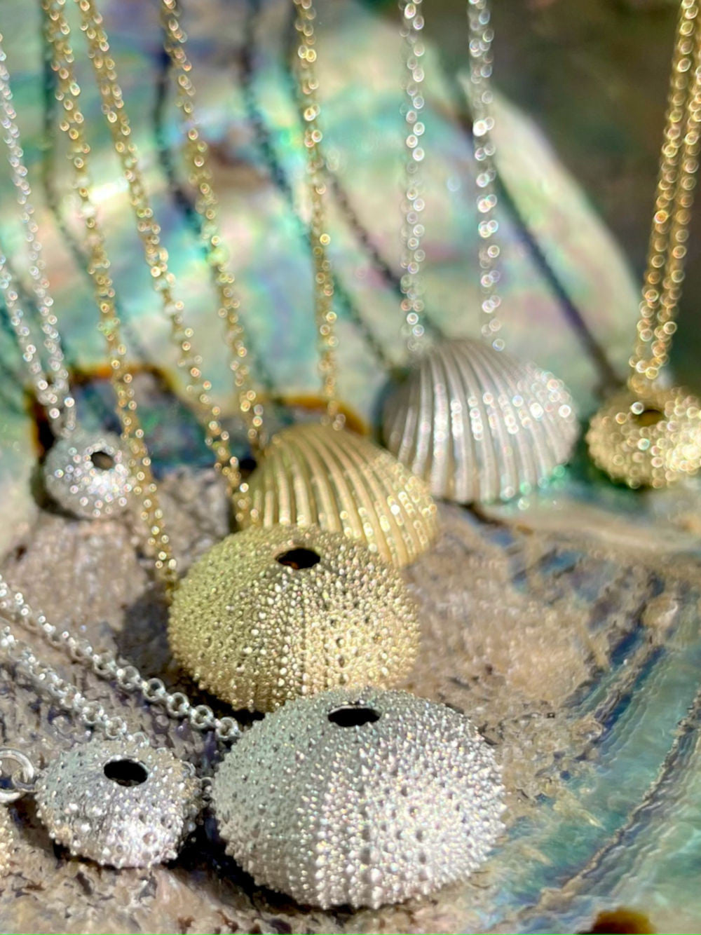 Großer Seeigel Anhänger